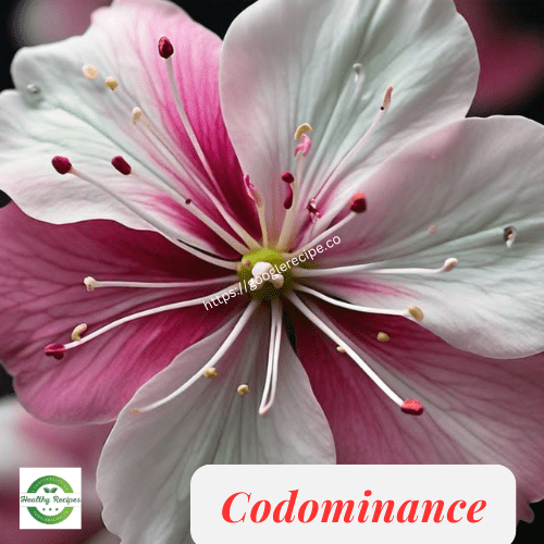 Codominance