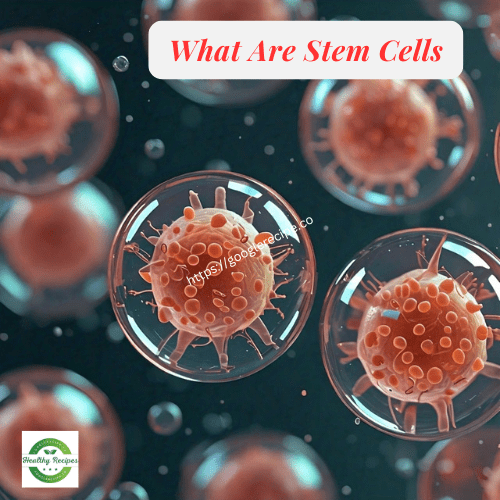 What Are Stem Cells