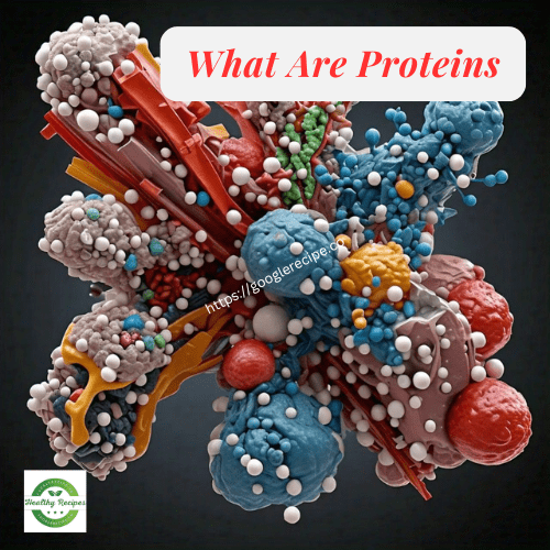 What Are Proteins