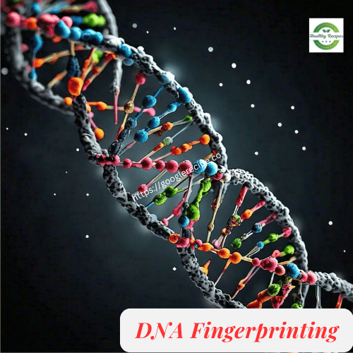 DNA Fingerprinting